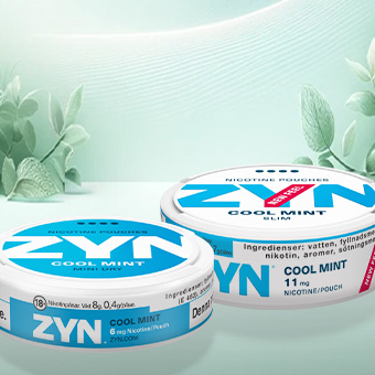 ZYN - Volles Aroma, kraftvoller Nikotinkick, komplett tabakfrei!