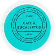 Catch Eucalyptus Large White 