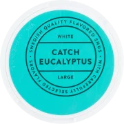 Catch Eucalyptus Large White