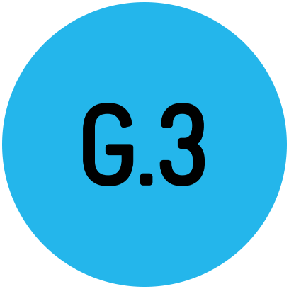 G.3